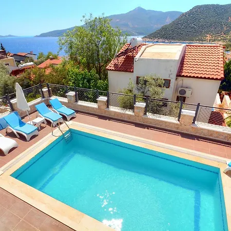 Turkuaz Kalkan