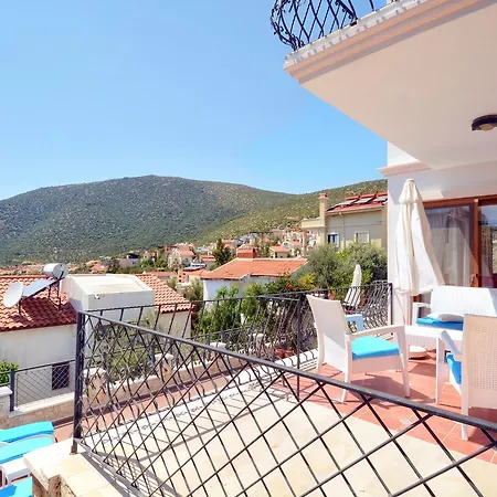 Turkuaz Kalkan